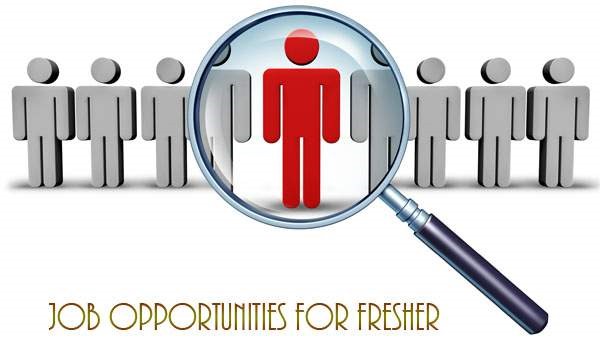 Job_Opportunities_for_Fresher